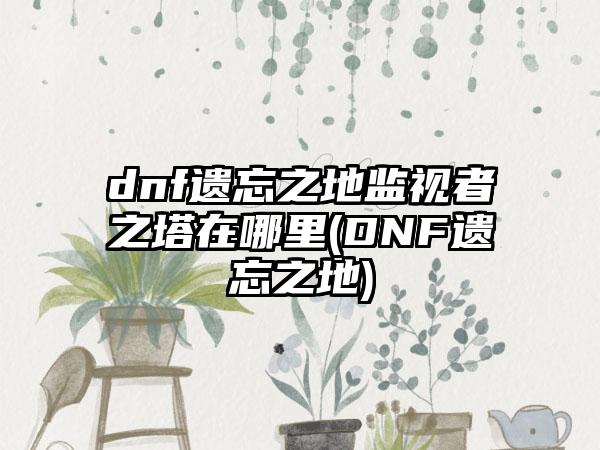 dnf遗忘之地监视者之塔在哪里(DNF遗忘之地)