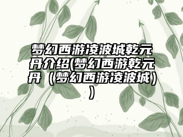 梦幻西游凌波城乾元丹介绍(梦幻西游乾元丹（梦幻西游凌波城）)