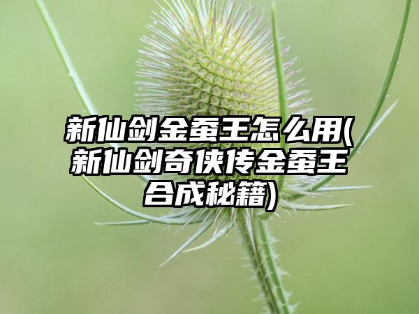 新仙剑金蚕王怎么用(新仙剑奇侠传金蚕王合成秘籍)