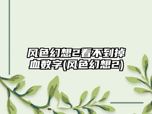 风色幻想2看不到掉血数字(风色幻想2)