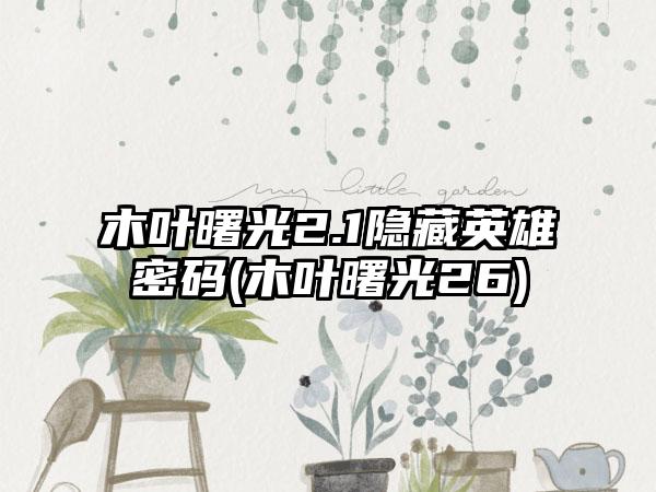 木叶曙光2.1隐藏英雄密码(木叶曙光26)