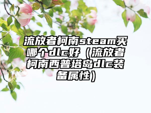 流放者柯南steam买哪个dlc好（流放者柯南西普塔岛dlc装备属性）