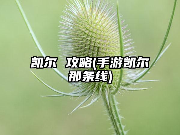 凯尔 攻略(手游凯尔那条线)