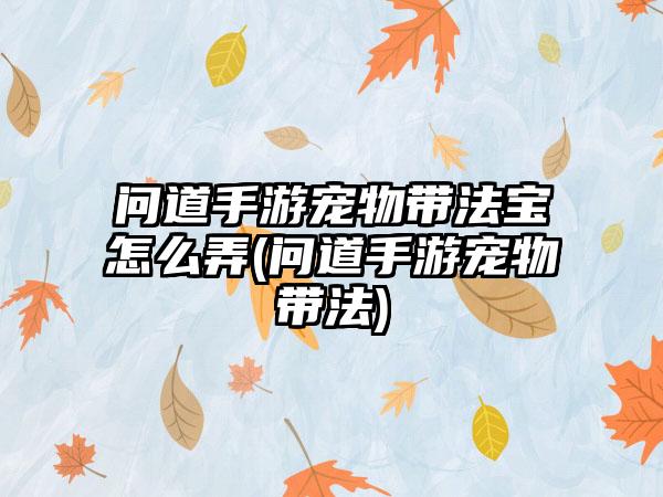 问道手游宠物带法宝怎么弄(问道手游宠物带法)