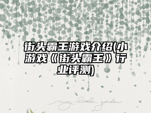 街头霸王游戏介绍(小游戏《街头霸王》行业评测)