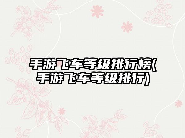 手游飞车等级排行榜(手游飞车等级排行)