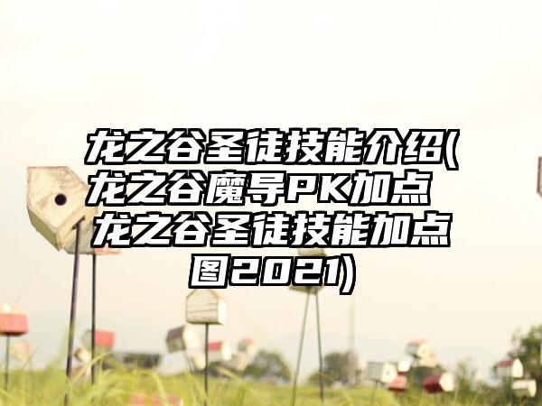 龙之谷圣徒技能介绍(龙之谷魔导PK加点 龙之谷圣徒技能加点图2021)