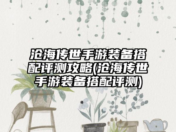沧海传世手游装备搭配评测攻略(沧海传世手游装备搭配评测)