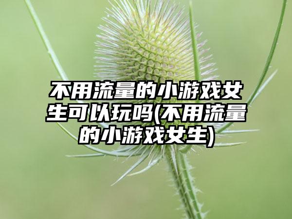 不用流量的小游戏女生可以玩吗(不用流量的小游戏女生)