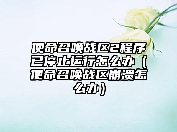 使命召唤战区2程序已停止运行怎么办（使命召唤战区崩溃怎么办）