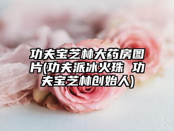 功夫宝芝林大药房图片(功夫派冰火珠 功夫宝芝林创始人)