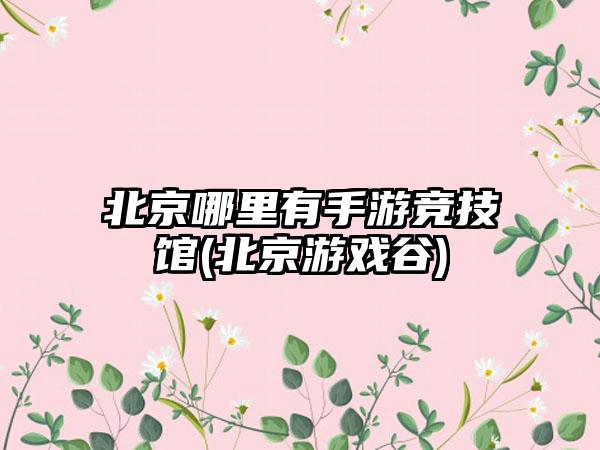 北京哪里有手游竞技馆(北京游戏谷)