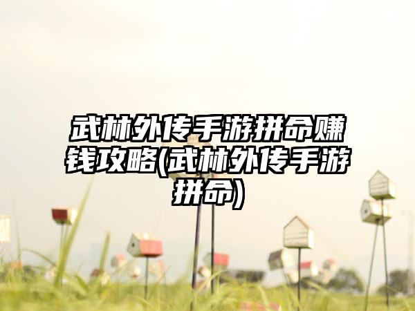 武林外传手游拼命赚钱攻略(武林外传手游拼命)