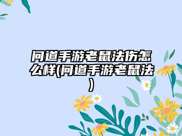 问道手游老鼠法伤怎么样(问道手游老鼠法)