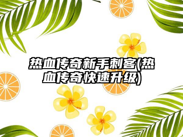 热血传奇新手刺客(热血传奇快速升级)