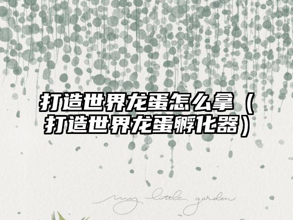 打造世界龙蛋怎么拿（打造世界龙蛋孵化器）