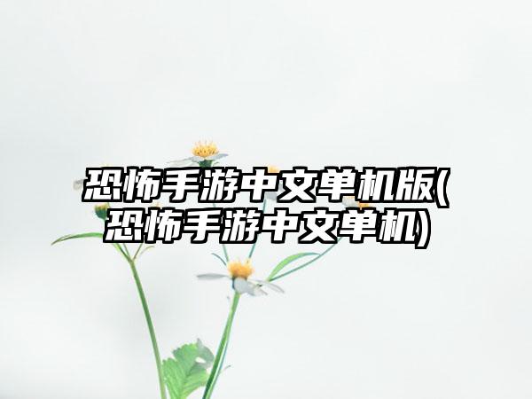 恐怖手游中文单机版(恐怖手游中文单机)