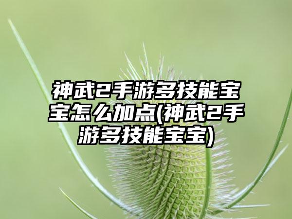 神武2手游多技能宝宝怎么加点(神武2手游多技能宝宝)