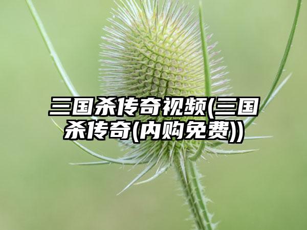 三国杀传奇视频(三国杀传奇(内购免费))