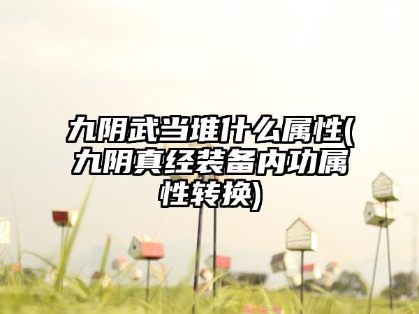 九阴武当堆什么属性(九阴真经装备内功属性转换)