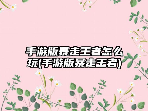 手游版暴走王者怎么玩(手游版暴走王者)