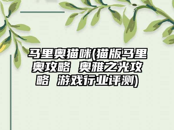 马里奥猫咪(猫版马里奥攻略 奥雅之光攻略 游戏行业评测)