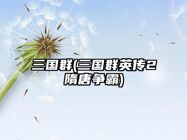三国群(三国群英传2隋唐争霸)