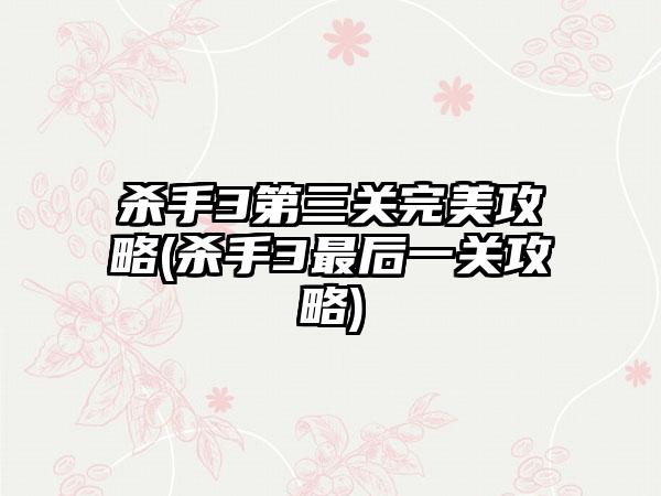 杀手3第三关完美攻略(杀手3最后一关攻略)