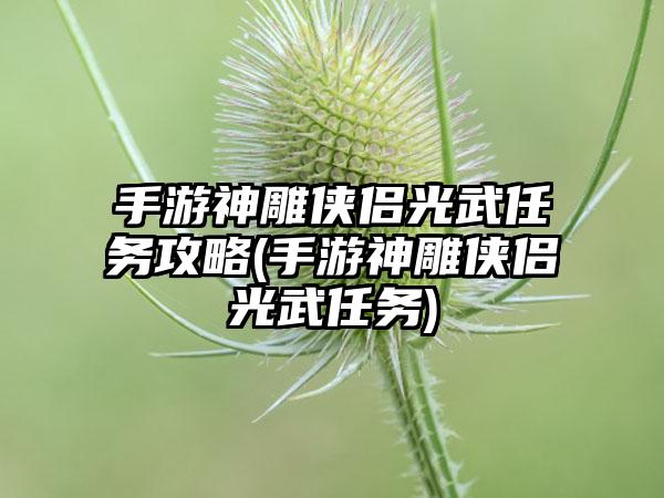 手游神雕侠侣光武任务攻略(手游神雕侠侣光武任务)