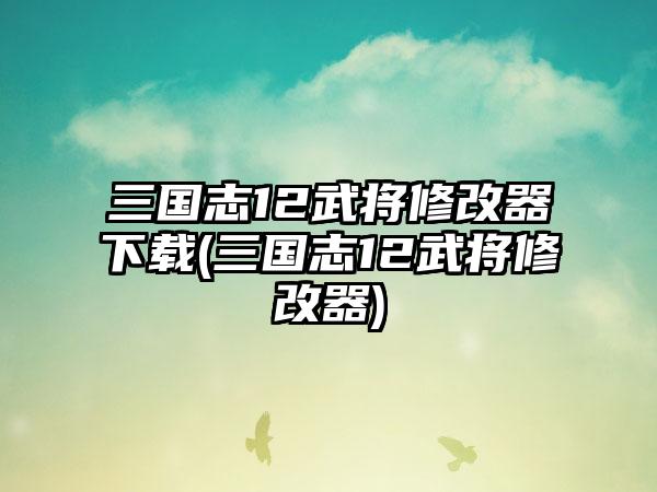 三国志12武将修改器下载(三国志12武将修改器)