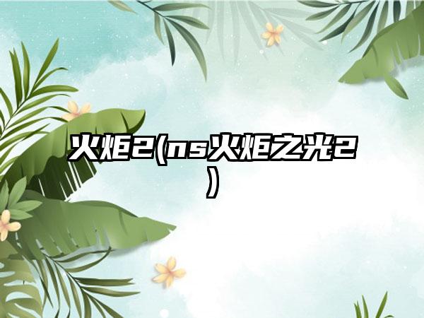 火炬2(ns火炬之光2)