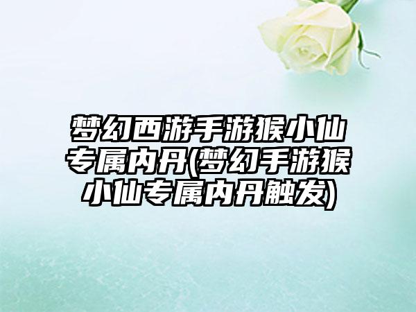 梦幻西游手游猴小仙专属内丹(梦幻手游猴小仙专属内丹触发)