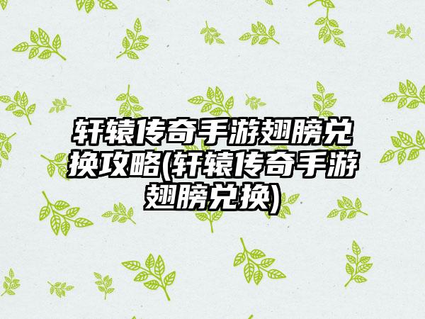 轩辕传奇手游翅膀兑换攻略(轩辕传奇手游翅膀兑换)