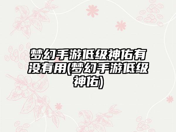 梦幻手游低级神佑有没有用(梦幻手游低级神佑)