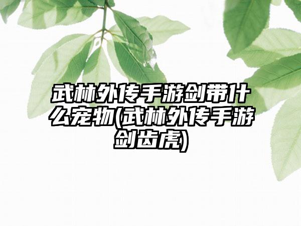 武林外传手游剑带什么宠物(武林外传手游剑齿虎)
