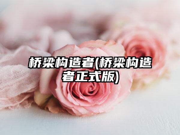 桥梁构造者(桥梁构造者正式版)