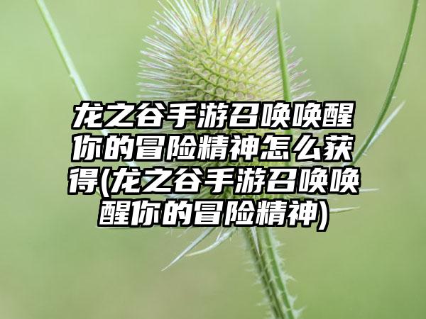 龙之谷手游召唤唤醒你的冒险精神怎么获得(龙之谷手游召唤唤醒你的冒险精神)