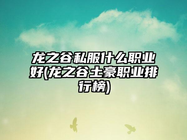 龙之谷私服什么职业好(龙之谷土豪职业排行榜)