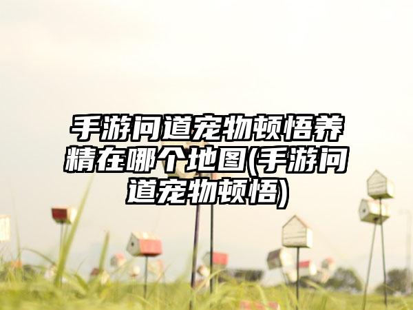 手游问道宠物顿悟养精在哪个地图(手游问道宠物顿悟)