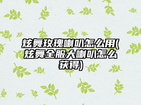炫舞玫瑰喇叭怎么用(炫舞全服大喇叭怎么获得)