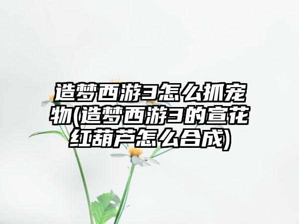 造梦西游3怎么抓宠物(造梦西游3的宣花红葫芦怎么合成)