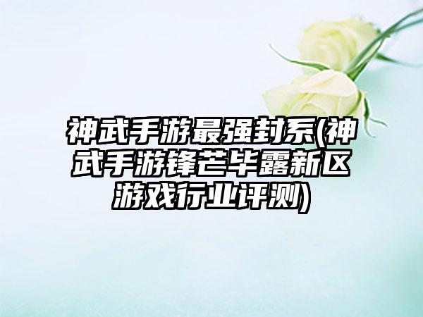 神武手游最强封系(神武手游锋芒毕露新区游戏行业评测)
