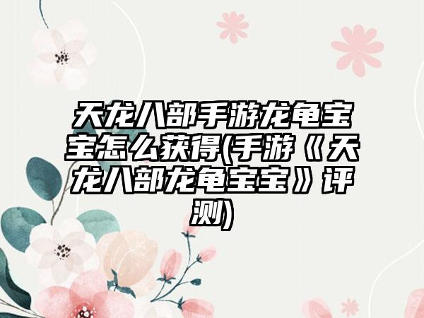 天龙八部手游龙龟宝宝怎么获得(手游《天龙八部龙龟宝宝》评测)