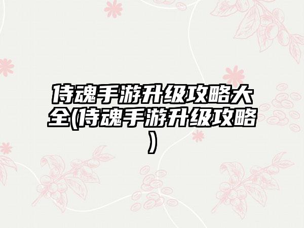 侍魂手游升级攻略大全(侍魂手游升级攻略)