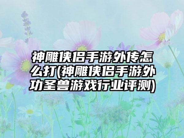 神雕侠侣手游外传怎么打(神雕侠侣手游外功圣兽游戏行业评测)