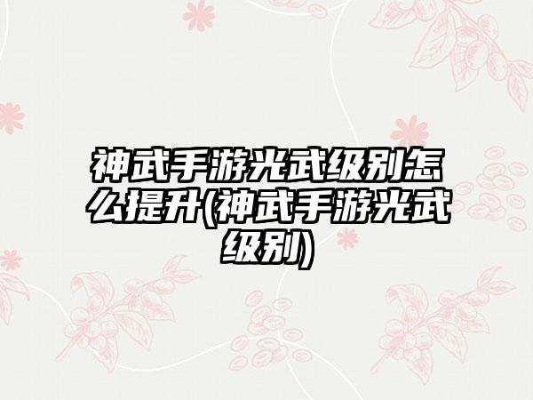神武手游光武级别怎么提升(神武手游光武级别)