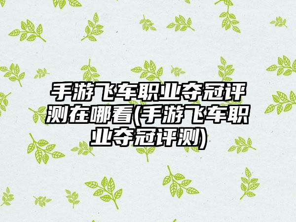 手游飞车职业夺冠评测在哪看(手游飞车职业夺冠评测)