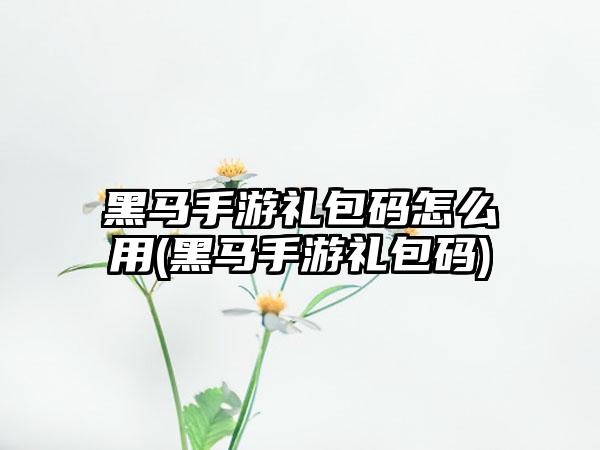 黑马手游礼包码怎么用(黑马手游礼包码)