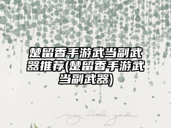 楚留香手游武当副武器推荐(楚留香手游武当副武器)