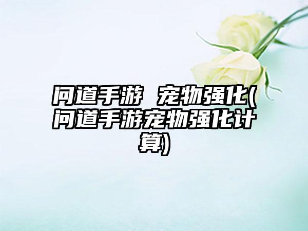 问道手游 宠物强化(问道手游宠物强化计算)